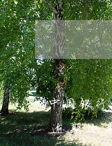 中国银行信用卡逾期会协商吗(各银行信用卡逾期协商政策)