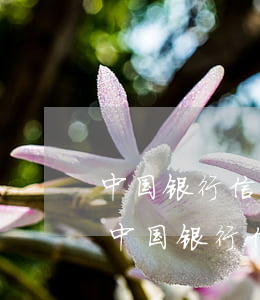 中国银行信用卡逾期四个月还清还能用吗-中国银行信用卡逾期四个月还清还能用吗