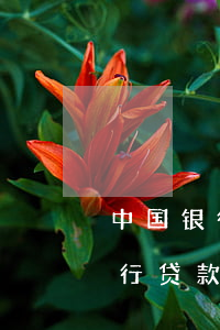 中国银行信用卡逾期能否协商分期-中信银行贷款逾期可以协商分期付款