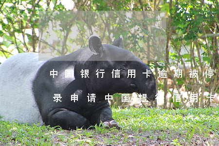 中国银行信用卡逾期被停用了(有一条逾期记录申请中国银行信用卡会不会下卡)