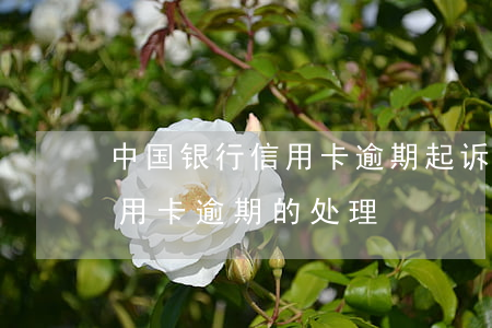 中国银行信用卡逾期起诉流程(中国银行对信用卡逾期的处理)