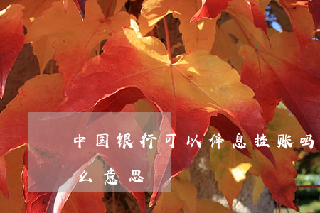 中国银行可以停息挂账吗(银行停息挂账是什么意思)
