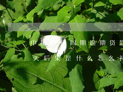 中国银行同期逾期贷款(中国银行贷款逾期一天后果是什么,怎么补救)