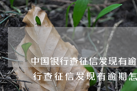 中国银行查征信发现有逾期怎么办-中国银行查征信发现有逾期怎么办理