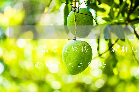 中国银行的信用卡逾期几天上征信(各个银行逾期几天上征信)