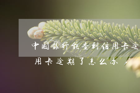 中国银行能查到信用卡逾期吗 中国银行的信用卡逾期了怎么办