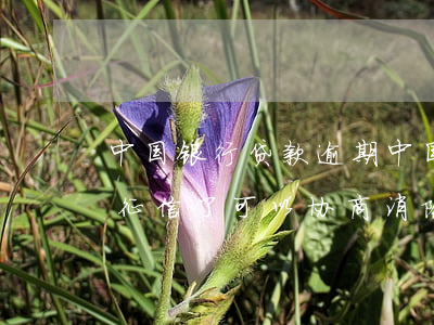 中国银行贷款逾期(中国银行贷款逾期3天上征信了可以协商消除吗)