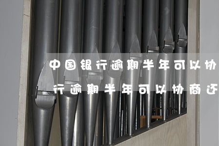 中国银行逾期半年可以协商还款吗-中国银行逾期半年可以协商还款吗