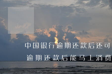 中国银行逾期还款后还可以用吗-中国银行逾期还款后能马上消费了吗