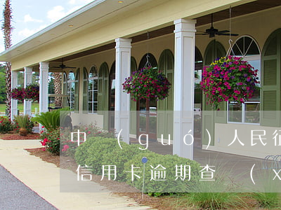 中國(guó)人民征信中心個(gè)人信用卡逾期查詢(xún)-中國(guó)人民征信中心個(gè)人信用卡逾期查詢(xún)系統(tǒng)