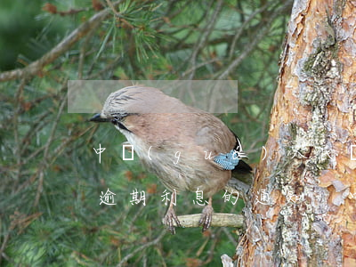 中國(guó)人民銀行關(guān)于逾期利息的通知-中國(guó)人民銀行關(guān)于逾期利息的通知文件