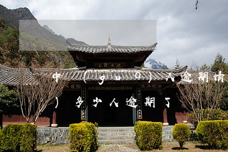中國(guó)人逾期情況-中國(guó)多少人逾期了