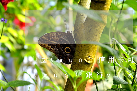 中國(guó)信用卡可以透支多少錢(中國(guó)銀行visa卡可以透支多少錢)