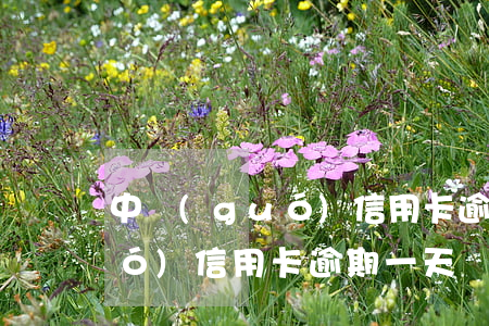 中國(guó)信用卡逾期一天(中國(guó)信用卡逾期一天沒事吧)