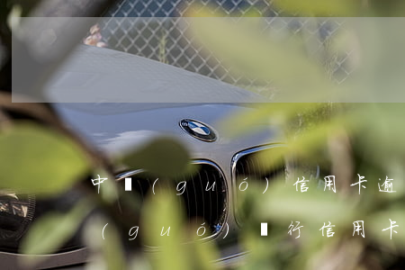 中國(guó)信用卡逾期半年總金額(中國(guó)銀行 信用卡 逾期)