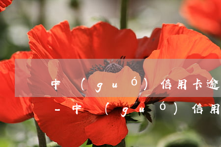 中國(guó)信用卡逾期的人大概有多少-中國(guó)信用卡逾期的人大概有多少錢