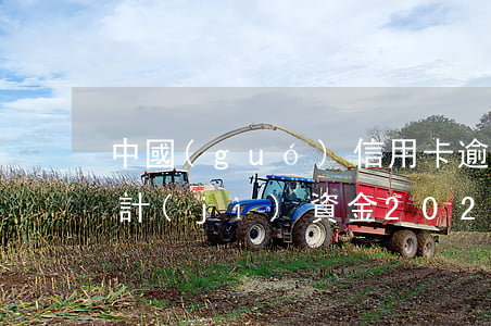 中國(guó)信用卡逾期統(tǒng)計(jì)資金 2020年全國(guó)信用卡逾期總金額