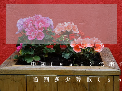 中國(guó)信用卡逾期額度多少(信用卡逾期多少算數(shù)額較大)