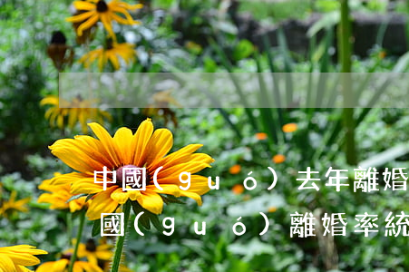 中國(guó)去年離婚率是多少(近幾年中國(guó)離婚率統(tǒng)計(jì))