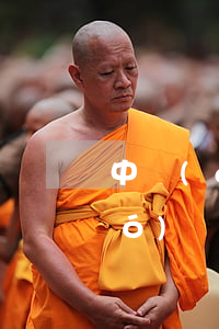 中國(guó)反傾銷案例分析(中國(guó)傾銷與反傾銷問題的案例與分析)