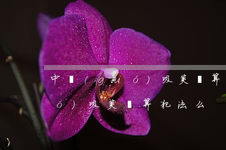 中國(guó)吸笑氣算犯法么(中國(guó)吸笑氣算犯法么)