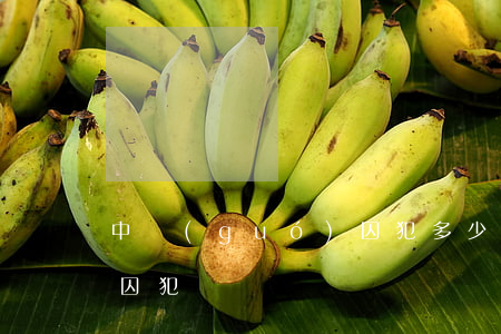 中國(guó)囚犯多少(100個(gè)囚犯)