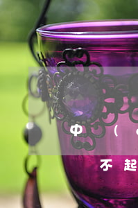 中國(guó)多少人欠網(wǎng)貸還不起(中國(guó)有多少人網(wǎng)貸不還的)