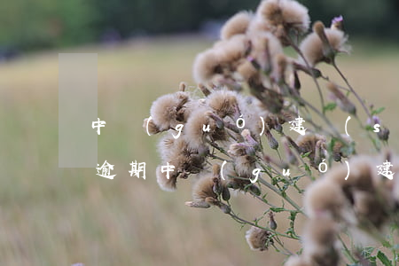 中國(guó)建設(shè)銀行信用卡逾期(中國(guó)建設(shè)銀行信用卡逾期半個(gè)月有多少影響)