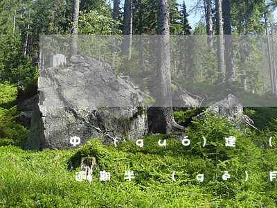 中國(guó)建設(shè)銀行信用卡逾期半個(gè)月有多少影響-中國(guó)建設(shè)銀行信用卡逾期半個(gè)月有多少影響征信