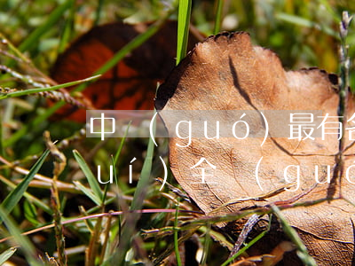 中國(guó)最有名氣的律師是誰(shuí)(全國(guó)十大名律師都是誰(shuí))