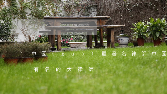 中國(guó)最著名律師(中國(guó)有名的大律師)