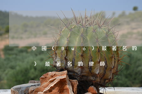 中國(guó)最著名的律師(中國(guó)最著名的律師)