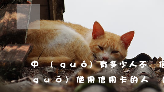 中國(guó)有多少人不還信用卡(中國(guó)使用信用卡的人數(shù)有多少?)