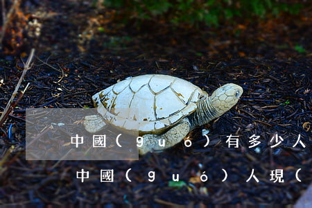 中國(guó)有多少人負(fù)債逾期(中國(guó)人現(xiàn)在負(fù)債有多嚴(yán)重)