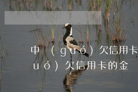 中國(guó)欠信用卡的金額-中國(guó)欠信用卡的金額是多少