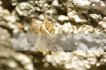 中國(guó)欠網(wǎng)貸的有多少人(中國(guó)欠網(wǎng)貸的人多嗎)