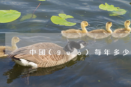 中國(guó)每年多少詐騙