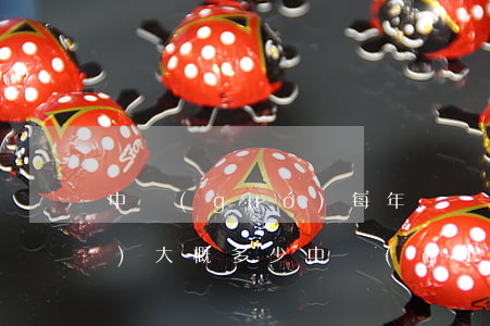中國(guó)每年車禍死亡人數(shù)大概多少(中國(guó)每年車禍死亡人數(shù)大概多少 2018年)