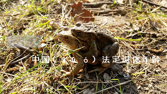 中國(guó)法定退休年齡