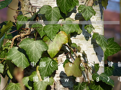 中國(guó)法律執(zhí)行信息公開網(wǎng)(中國(guó)法院公開執(zhí)行信息網(wǎng))