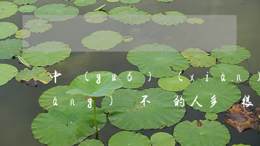 中國(guó)現(xiàn)在欠網(wǎng)貸不還的人多嗎(很多人欠網(wǎng)貸不還)