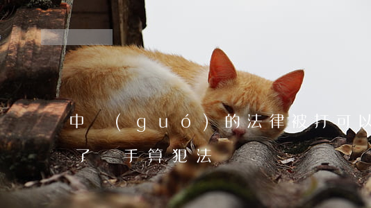 中國(guó)的法律被打可以還手嗎(挨打了還手算犯法嗎)