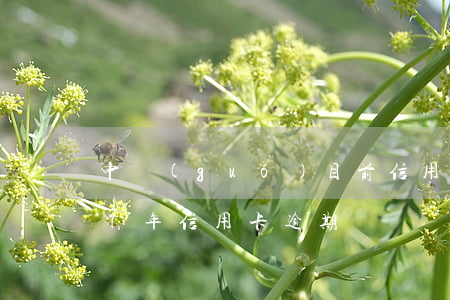 中國(guó)目前信用卡逾期情況(2017年信用卡逾期)