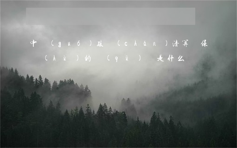 中國(guó)破產(chǎn)清算與保護(hù)的區(qū)別是什么