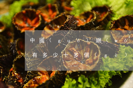 中國(guó)網(wǎng)貸逾期的人有多少(十多個(gè)網(wǎng)貸全部逾期)