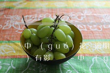 中國(guó)花唄逾期了還款會(huì)有影響嗎-中國(guó)花唄逾期了還款會(huì)有影響嗎知乎