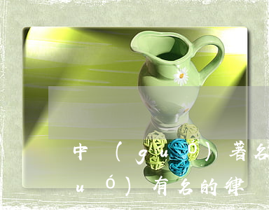 中國(guó)著名民事訴訟律師(中國(guó)有名的律師事務(wù)所)