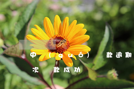 中國(guó)貸款逾期半年以上(逾期十幾次貸款成功)