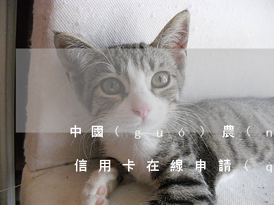 中國(guó)農(nóng)業(yè)信用卡在線申請(qǐng)辦理官網(wǎng)-中國(guó)農(nóng)業(yè)信用卡在線申請(qǐng)辦理官網(wǎng)密碼你們不告訴我