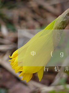 中國(guó)農(nóng)業(yè)銀行信用卡逾期發(fā)律師函(為什么農(nóng)業(yè)信用卡逾期幾個(gè)月都起訴了)
